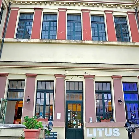 Litus *